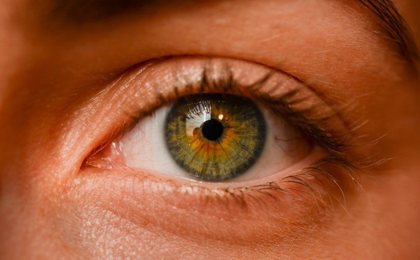 Oczy to jednostkowy organ. To naturalnie dzięki nim spostrzegamy.